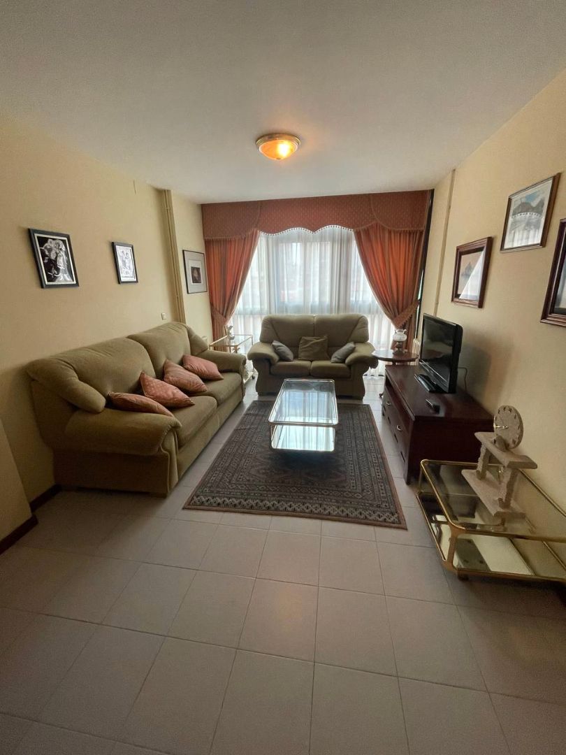 Living room of Flat to rent in A Coruña Capital   with Heating, Parquet flooring and Furnished