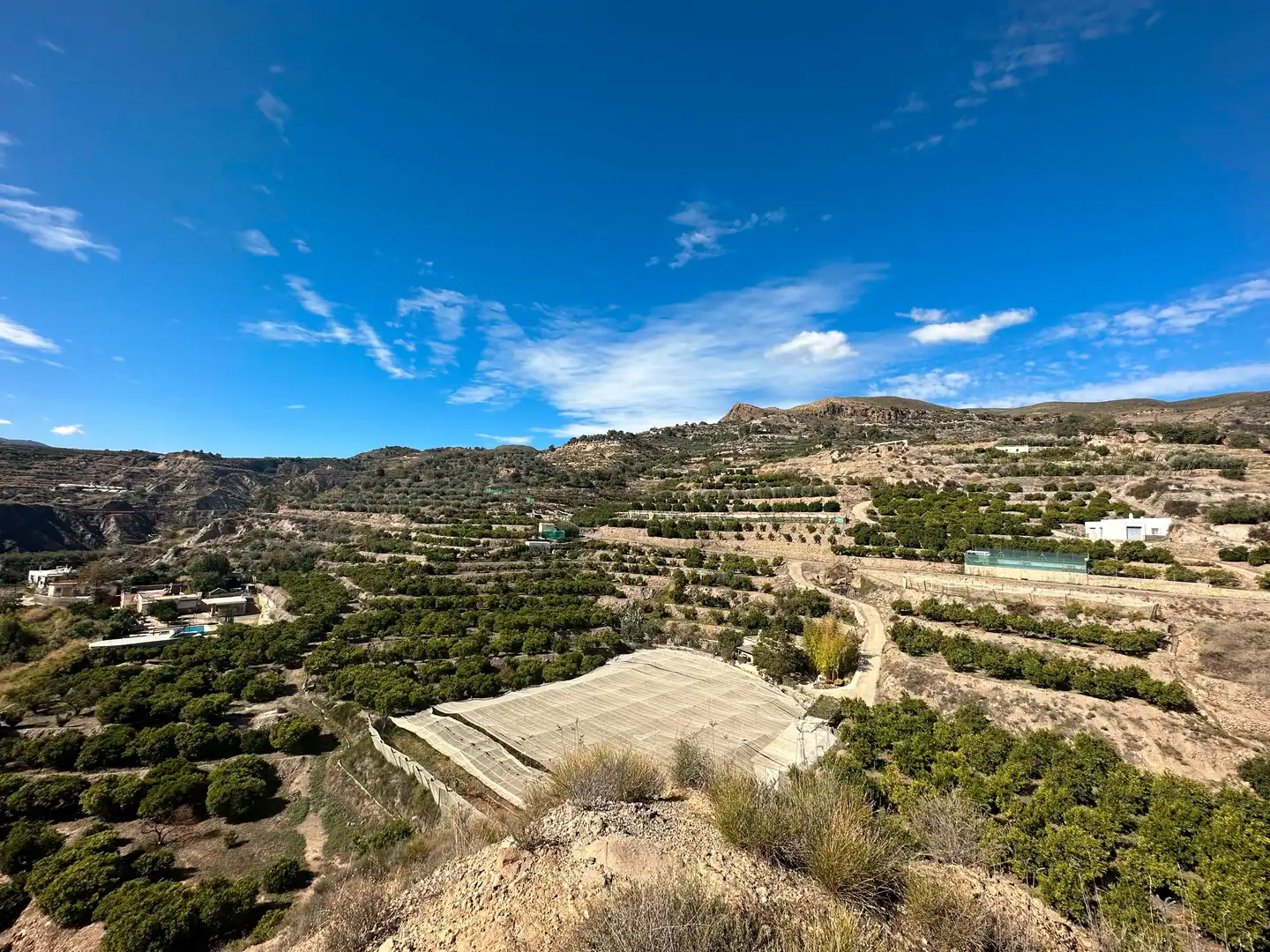 Vista exterior de Finca rústica en venda en Canjáyar amb Jardí privat, Terrassa i Traster