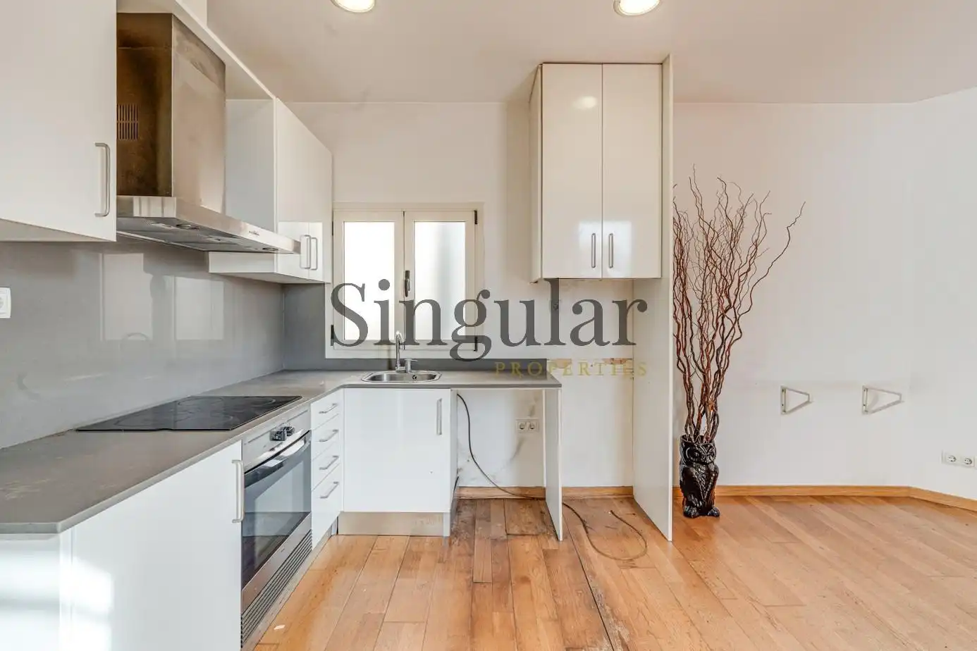 Penthouse mit Aufzug zum Verkauf in Carrer ARIBAU, imagen 7