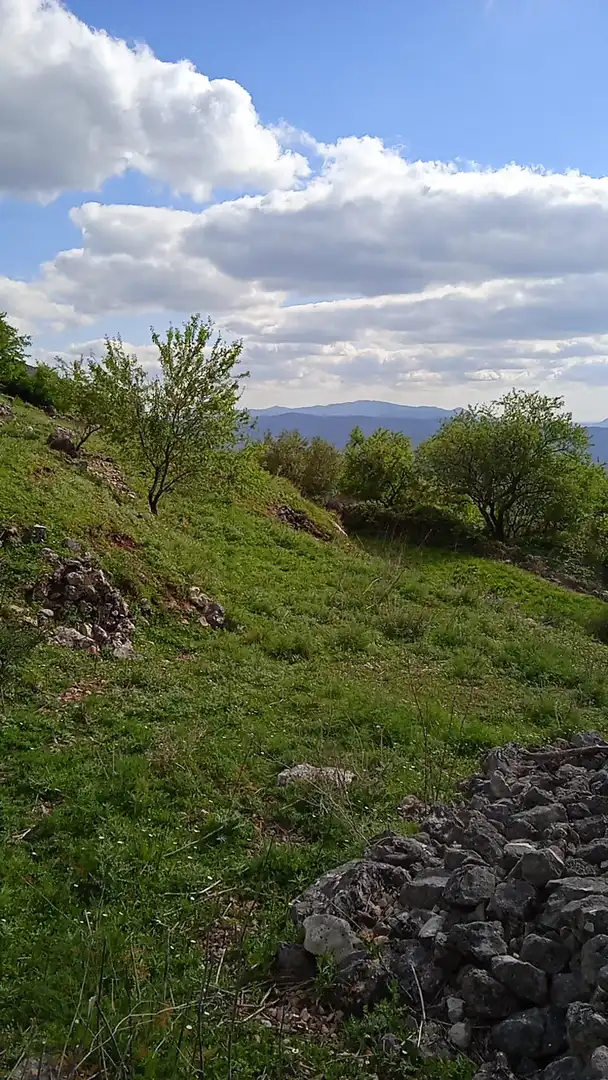 Terrain rustique à vendre à Benaocaz, imagen 6