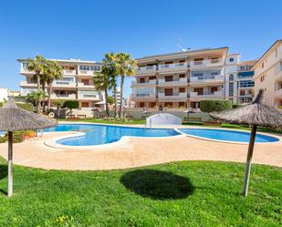 Vista exterior de Apartament en venda en Torrevieja amb Jardí privat, Terrassa i Traster