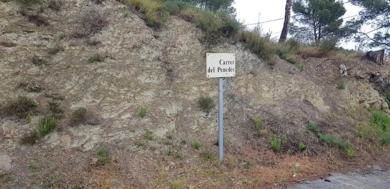 Residential land for sale in Penedès, imagen 11