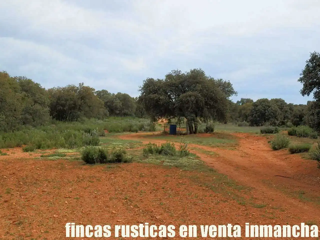 Terreno rustico in vendita a Ruidera, imagen 26