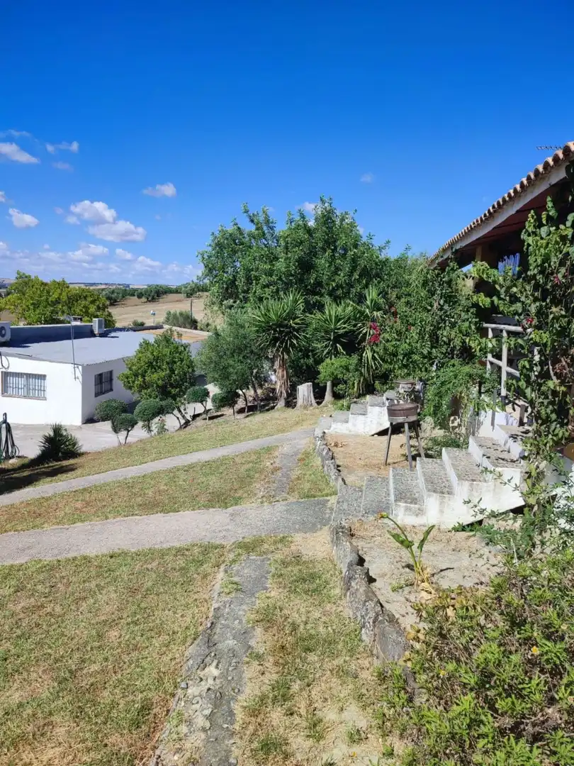 Casa amb piscina en venda a Arcos de la Frontera, imagen 20
