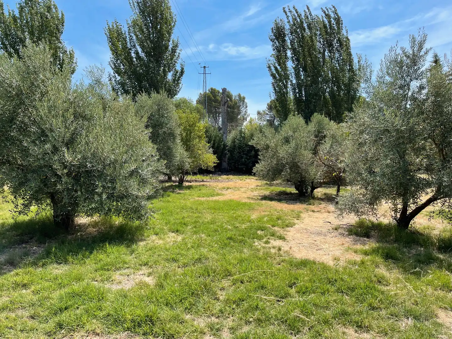 Terrenos y solares en venta en Úbeda