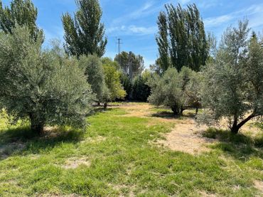 Terreno rustico in vendita a Úbeda