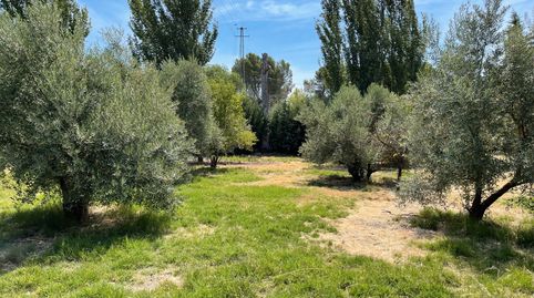 SE VENDE PARCELA RÚSTICA EN SAN BARTOLOME