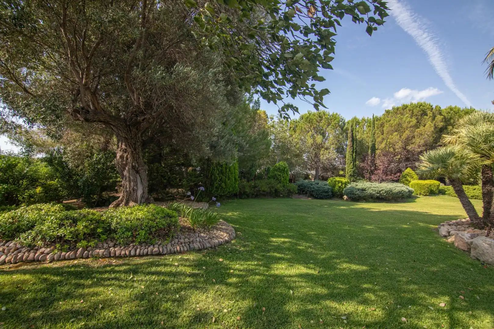 Jardín de Casa o chalet en venta en Elche / Elx con Aire acondicionado, Calefacción y Jardín privado