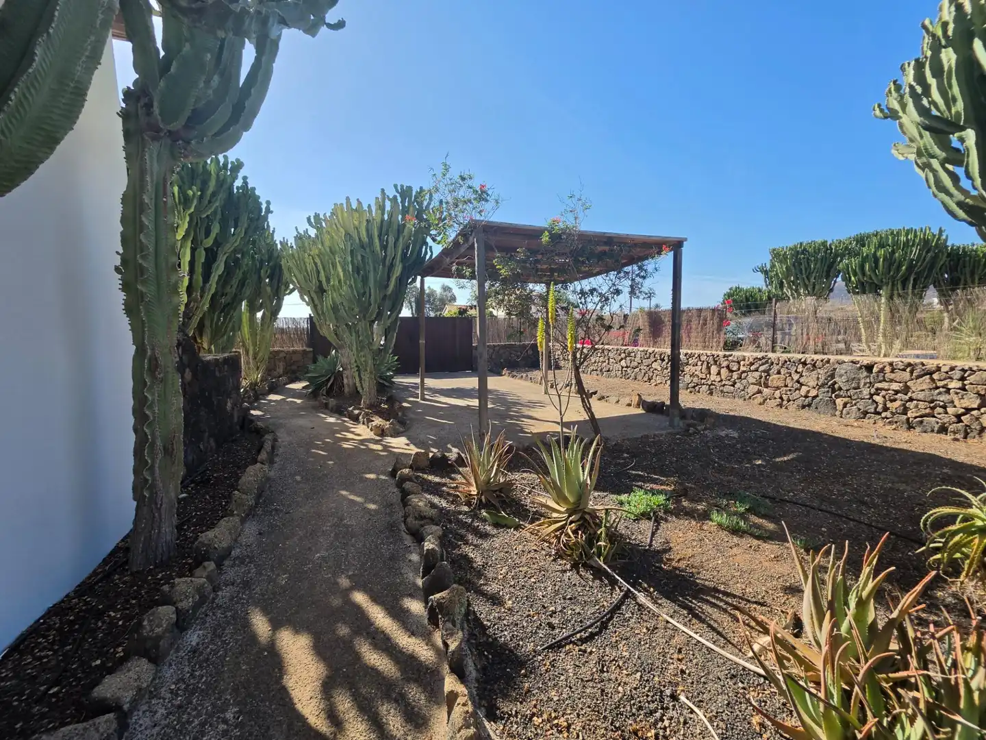 Jardí de Casa o xalet en venda en La Oliva pueblo