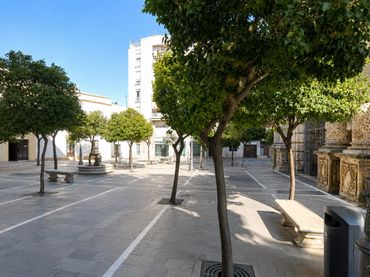 Pis en venda a Centro
