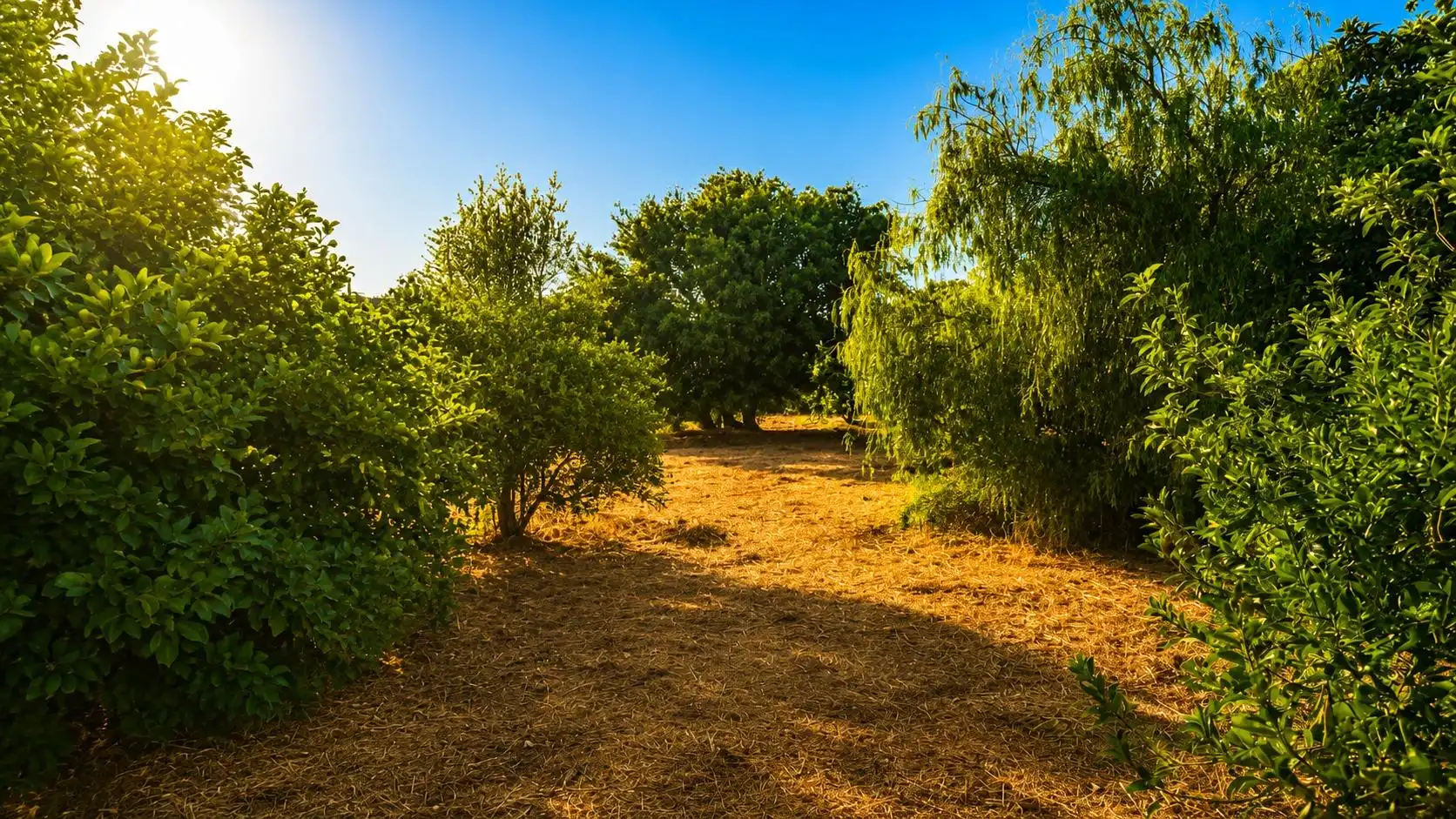 Wohnbaugrundstück zum Verkauf in La Banda - Campo de Fútbol, imagen 14