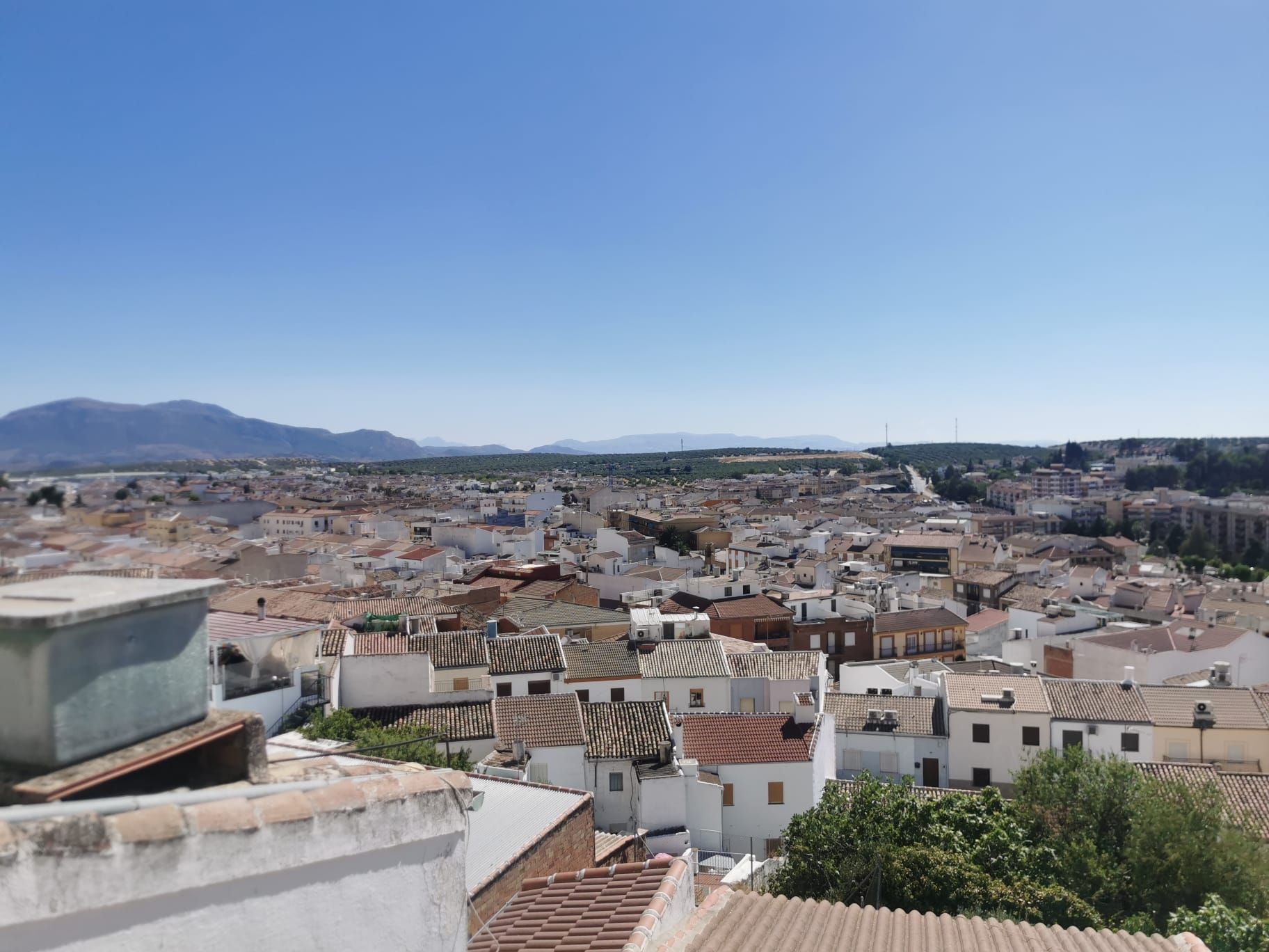 Vista exterior de Finca rústica en venda en Martos amb Terrassa i Traster