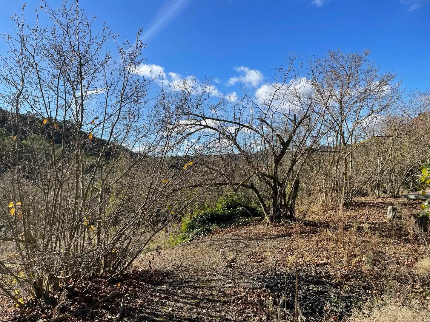 Terrain rustique à vendre à Alforja, imagen 25