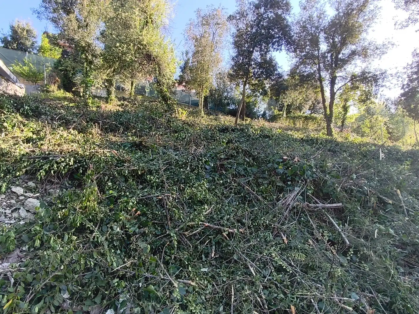 Terreno residencial en venta en Tercera Avinguda, imagen 5