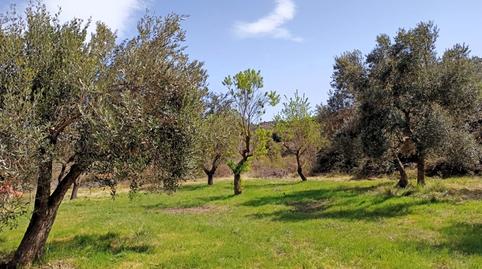 Foto 3 de Finca rústica en venda a Beceite, Teruel