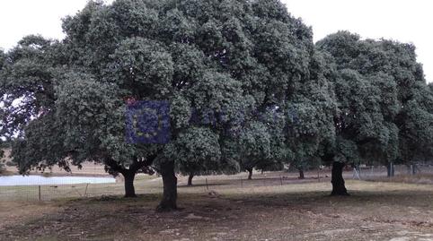 Foto 4 de Casa o chalet en venta en La Cumbre , Cáceres