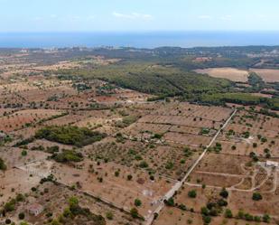 Land for sale in Manacor