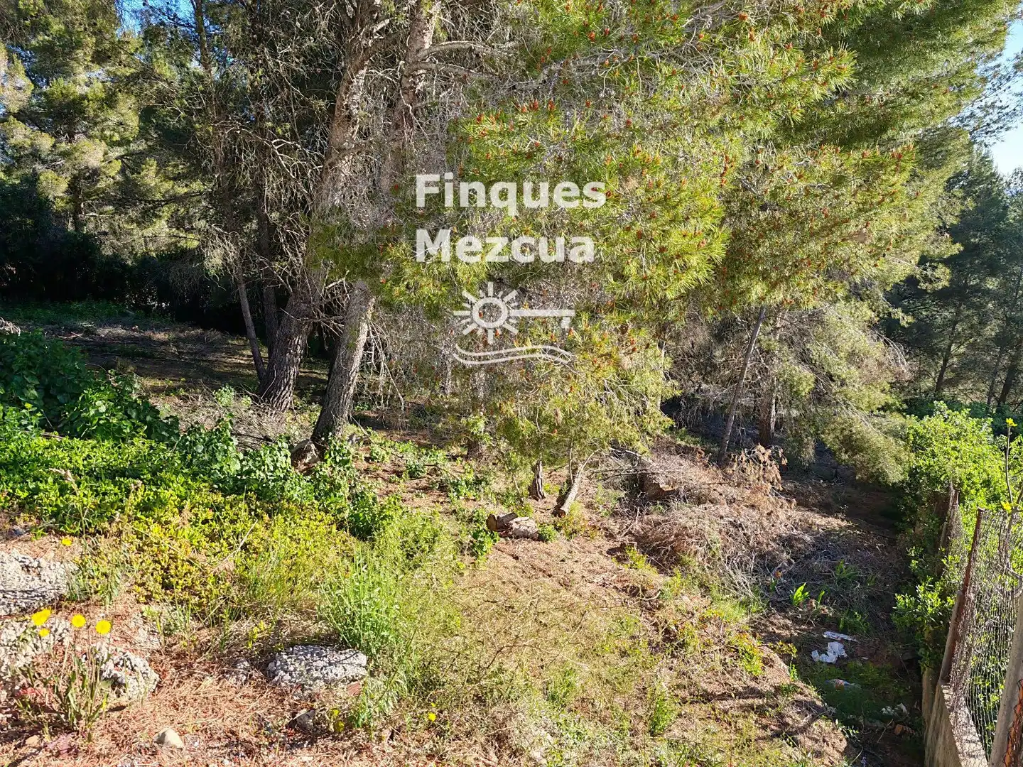 Residential land for sale in La Bisbal del Penedès, imagen 5