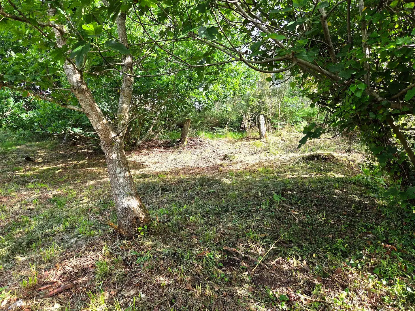 Finca rústica en venta en Meis con Jardín privado y Terraza