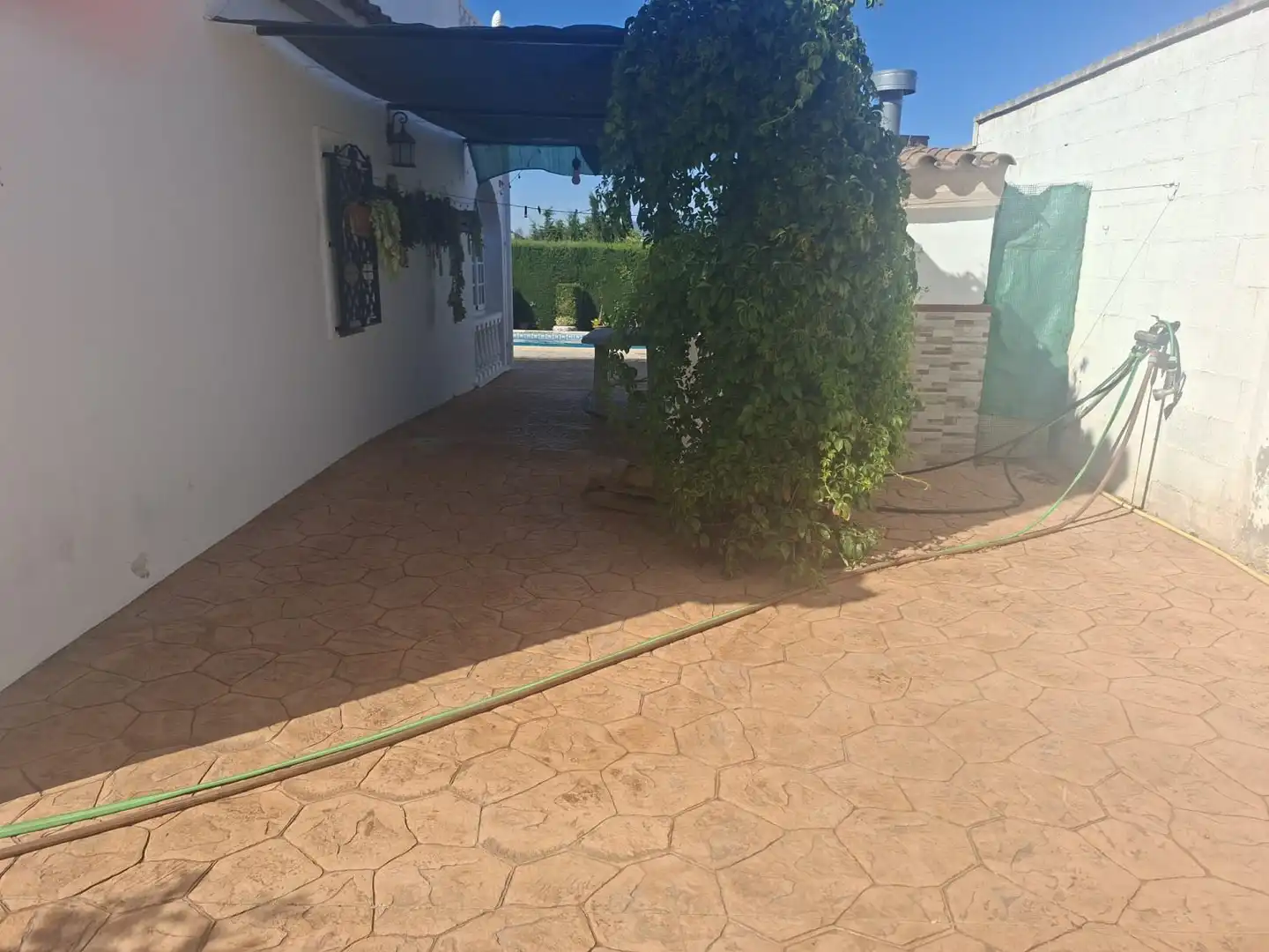 Jardí de Casa o xalet en venda en San Roque amb Aire condicionat, Calefacció i Jardí privat