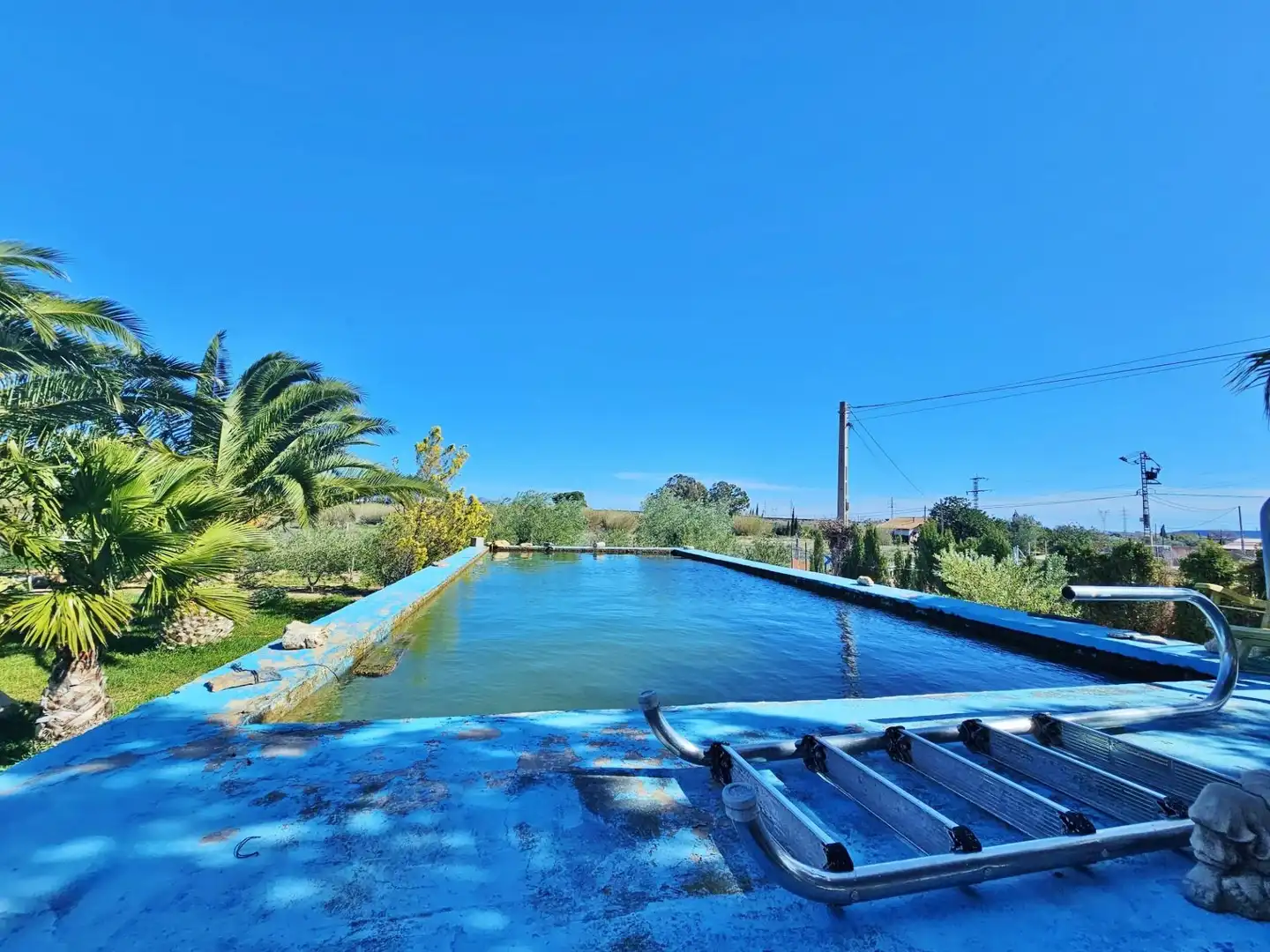 Piscina de Finca rústica en venta en Alicante / Alacant