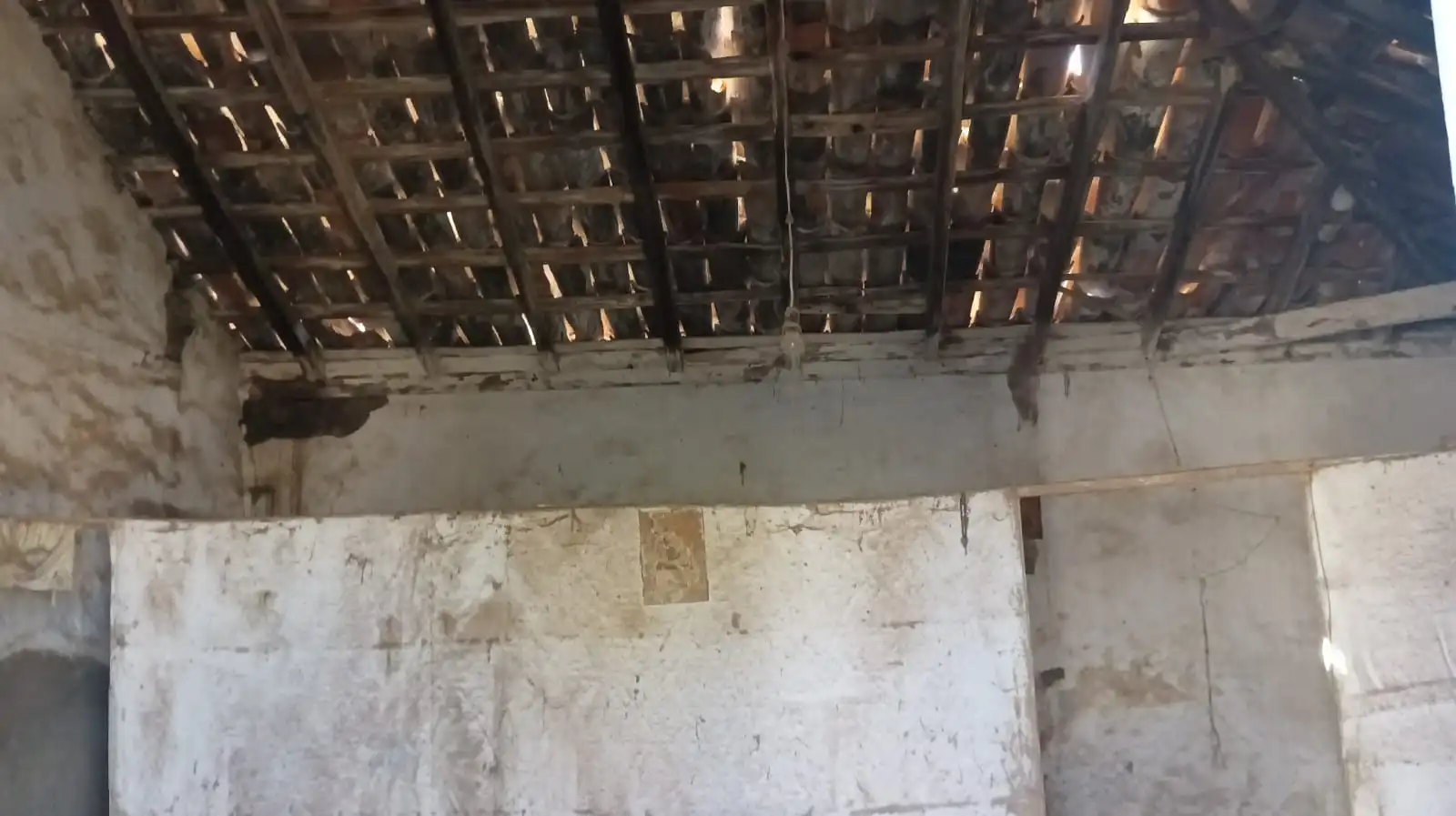 Rural land for sale in San Felipe - San Marcos - Las Cañas, imagen 18