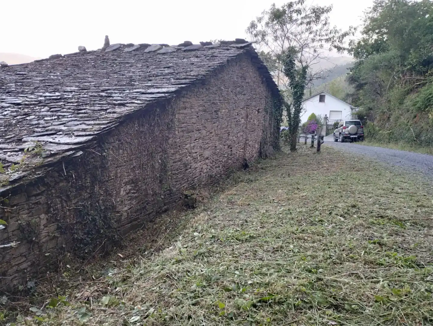 Vista exterior de Casa o xalet en venda en San Tirso de Abres