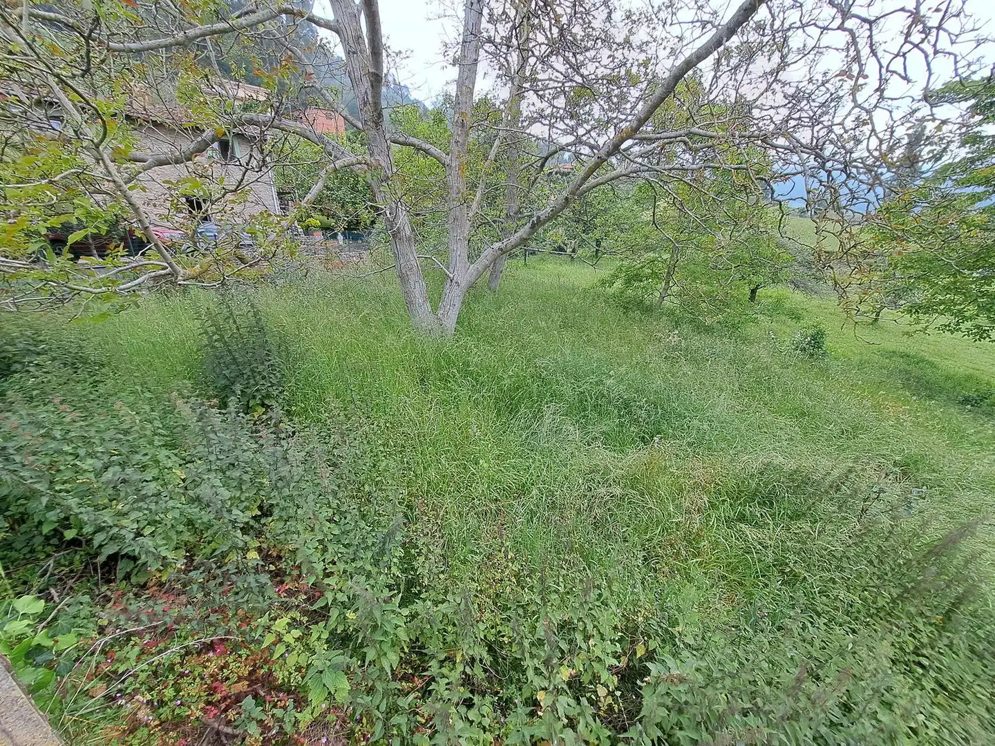 Casa o chalet en venta en Parroquias suroccidentales