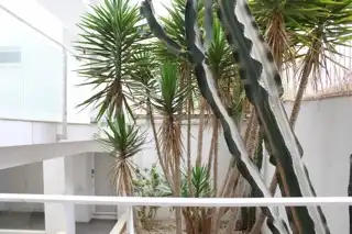 Garten von Wohnung zum Verkauf in Benitachell / El Poble Nou de Benitatxell mit Terrasse und Abstellraum