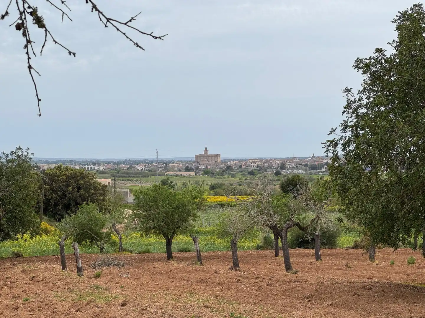 Rustikales Grundstück zum Verkauf in Camino Camí Vell de Porreres 2, imagen 9