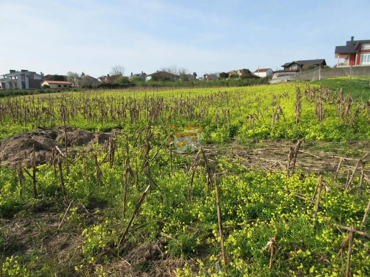Terreni e lotti in vendita a A Gándara, imagen 4