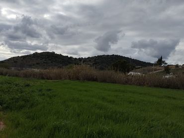 Terreno rustico in vendita a Avenida de Andalucía 46