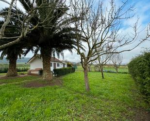 Land for sale in Carreño