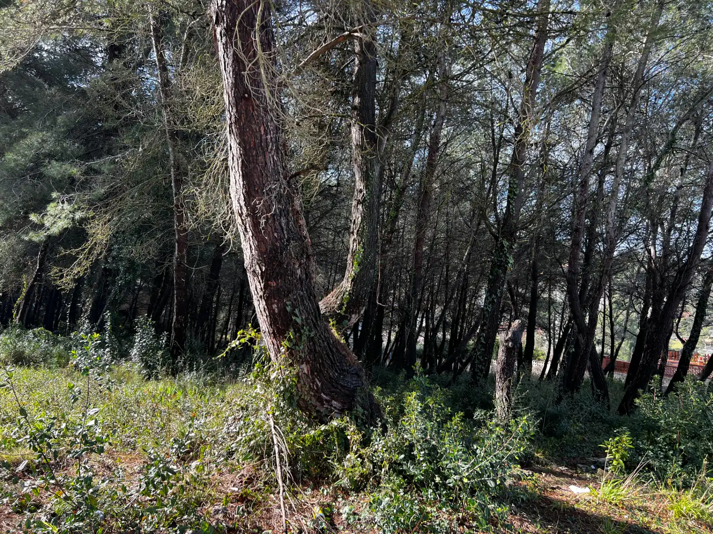Residencial en venda en Olesa de Bonesvalls