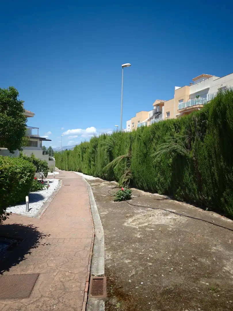Vista exterior de Pis en venda en Albolote amb Aire condicionat, Terrassa i Moblat
