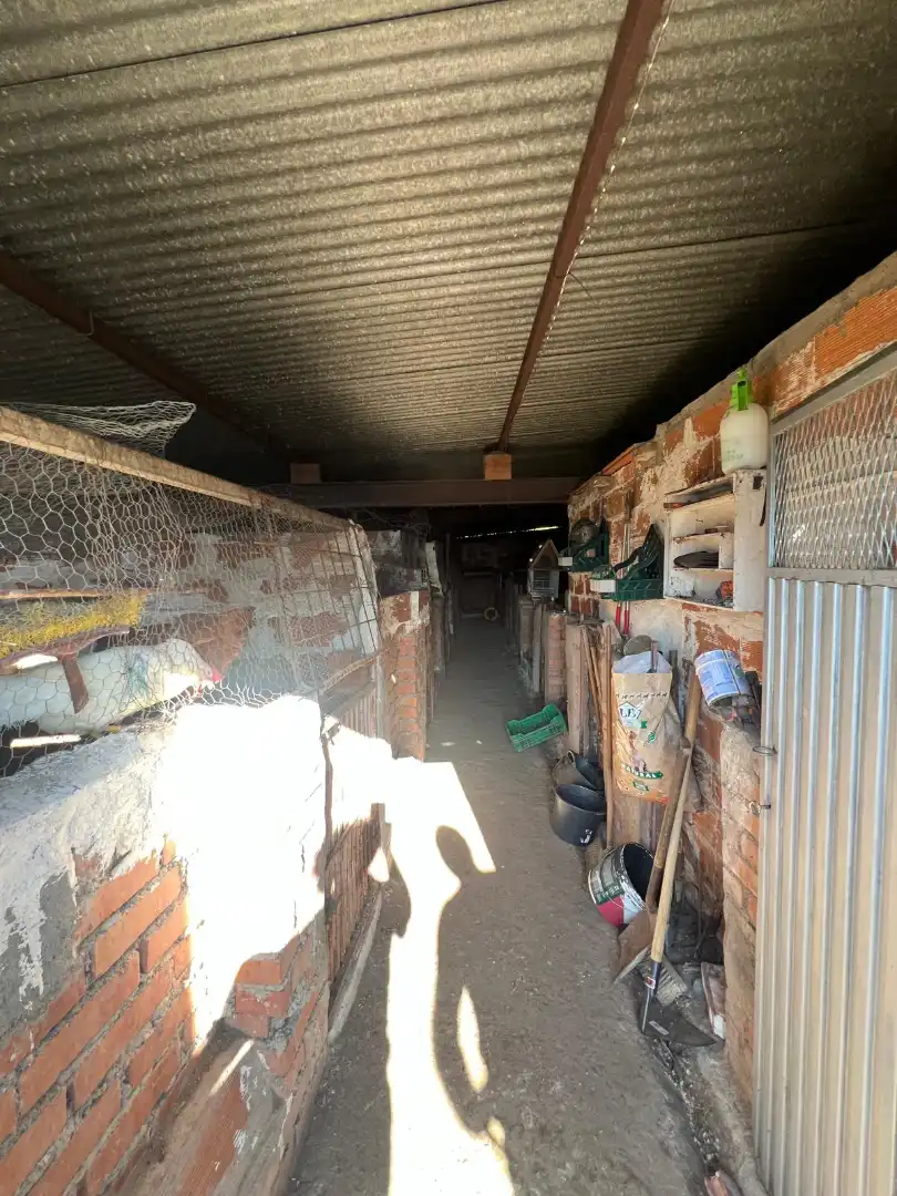 Terreni e lotti in vendita a Casas del Castañar, imagen 19