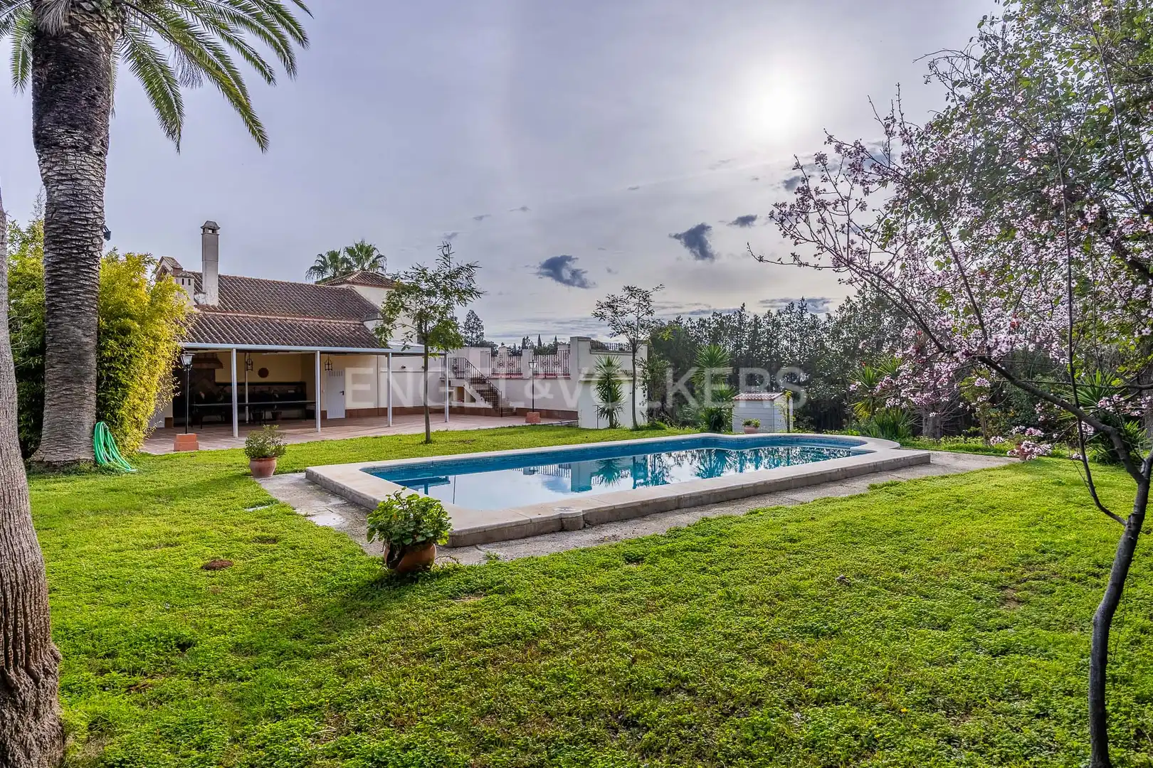 Vista exterior de Finca rústica en venta en Olivares con Calefacción, Jardín privado y Piscina