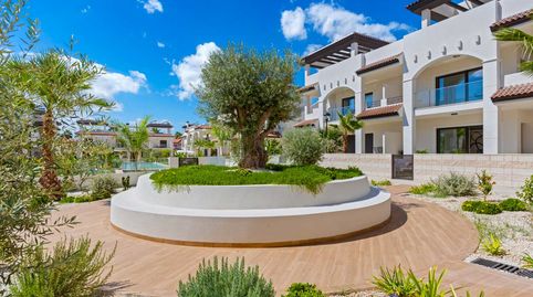 Bungalow alto en Rojales, imatge 5
