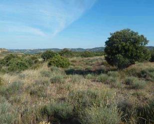 Land for sale in Ulldemolins