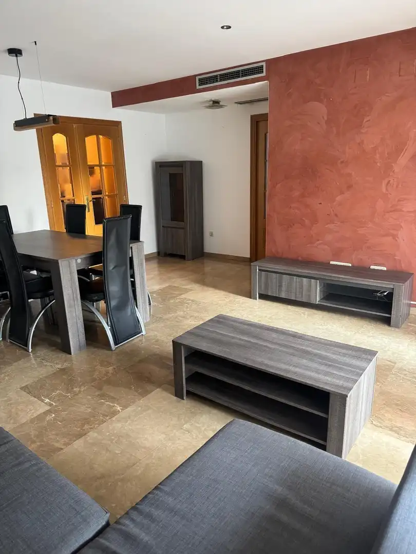 Sala de estar de Piso de alquiler en Valencia