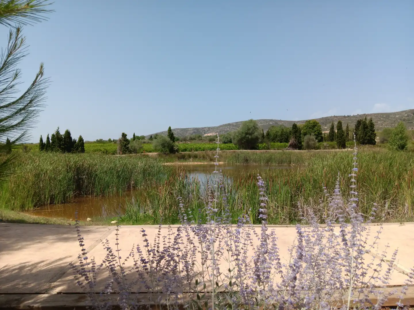 Casa o chalet en venta en Alcalà de Xivert con Terraza, Trastero y Amueblado