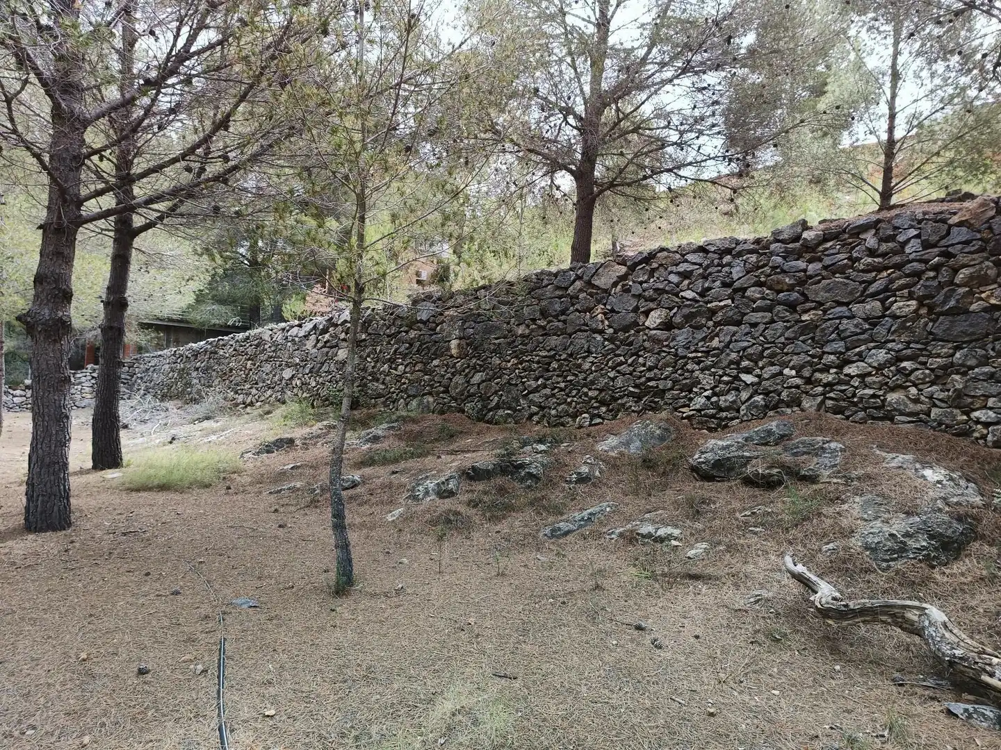 Lands and plots for sale in Borriol, imagen 12