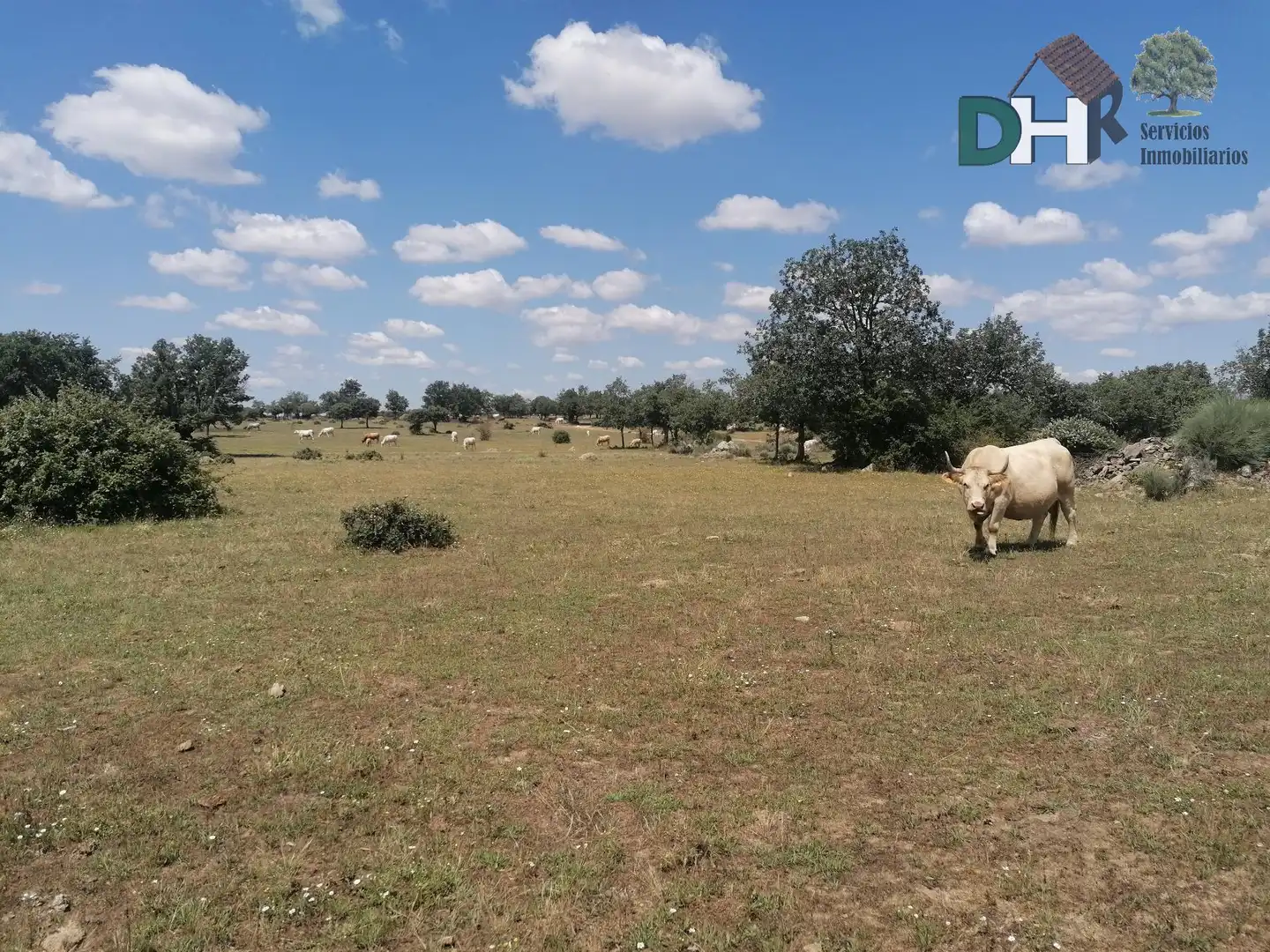 Lands and plots for sale in Barrio Blanco, imagen 15