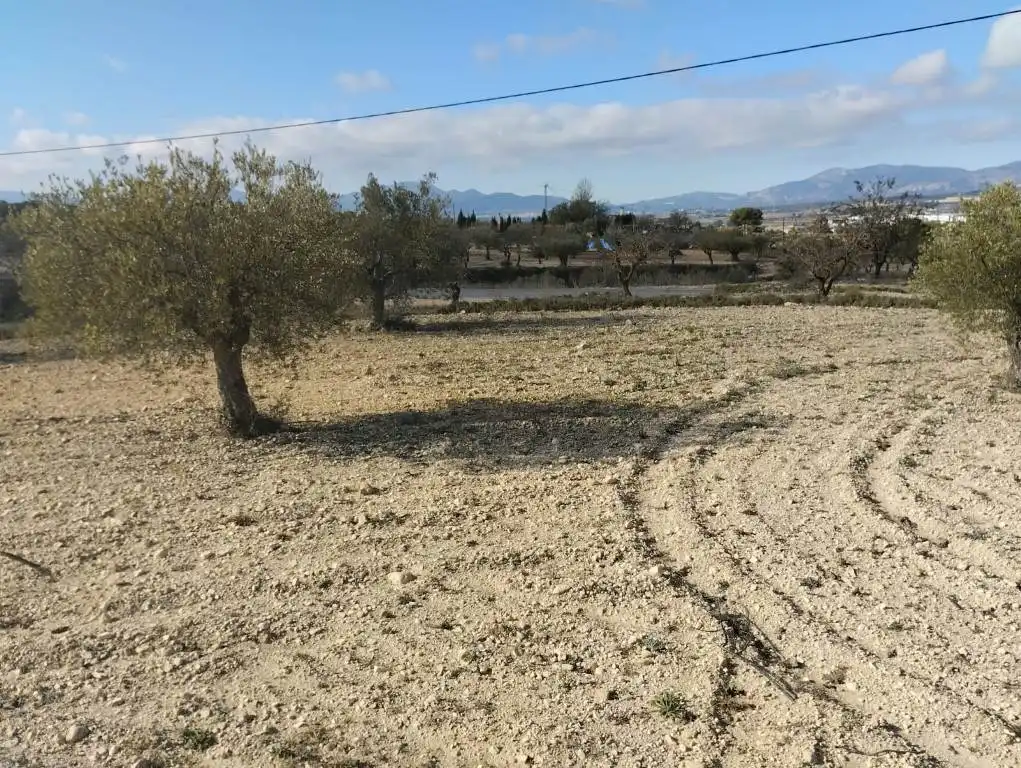 Terreno rústico en venta en Carrer Mestre Barbieri, imagen 2