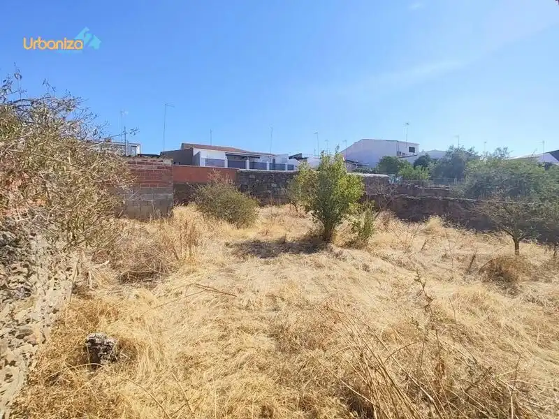 Casa in vendita a Calle HERNAN CORTES, imagen 31