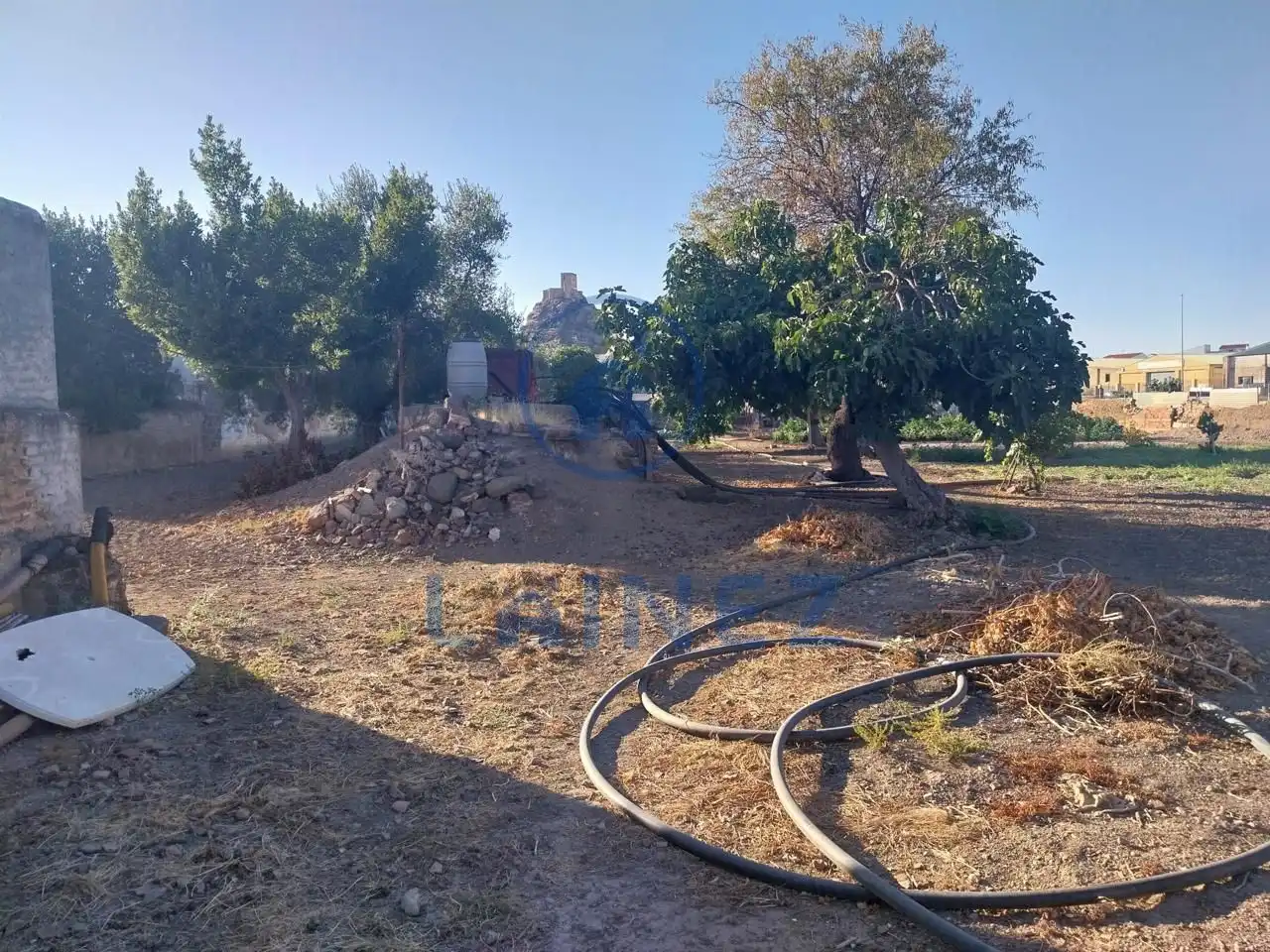 Lands and plots for sale in Belmez, imagen 23