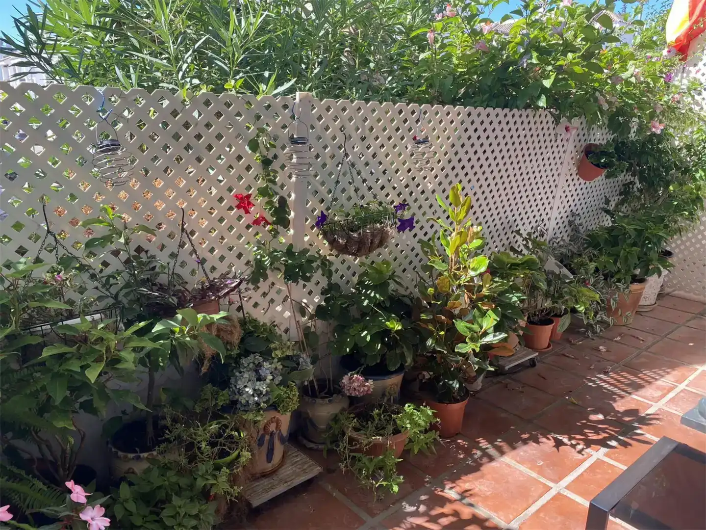 Terrasse von Erdgeschoss zur Miete in Marbella mit Klimaanlage und Schwimmbad