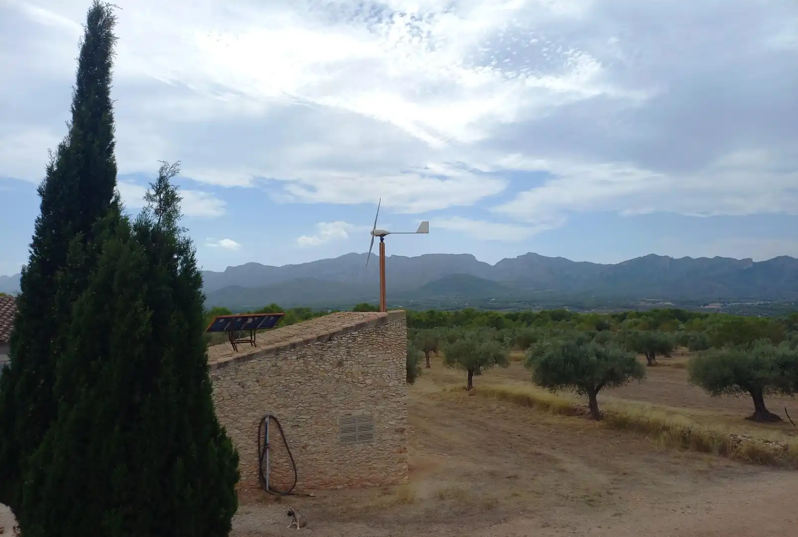 Jardín de Finca rústica en venta en Tivissa