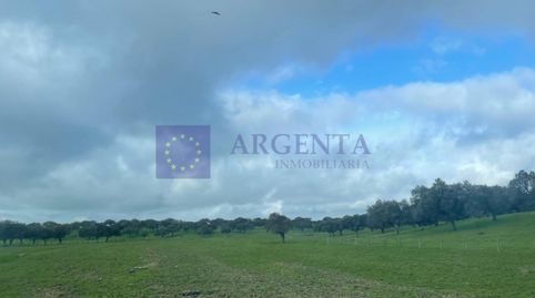 FINCA GANADERA DE UNAS 500 HECTÁREAS EN LA ZONA DE CORIA