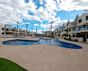 Swimming pool of Apartment to rent in Pilar de la Horadada  with Air Conditioner